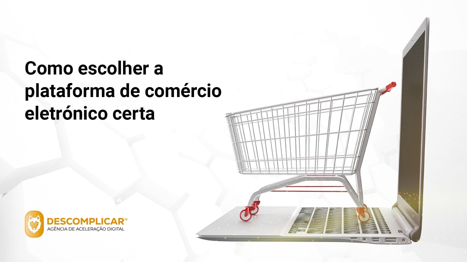 E commerce de Sucesso Escolher a Plataforma Ideal para o seu Negócio