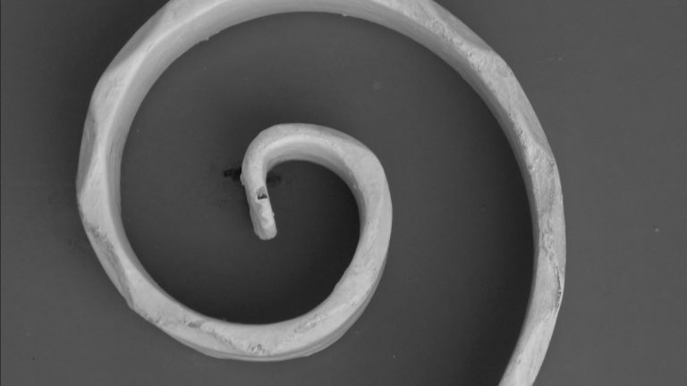 Espiral Sénior